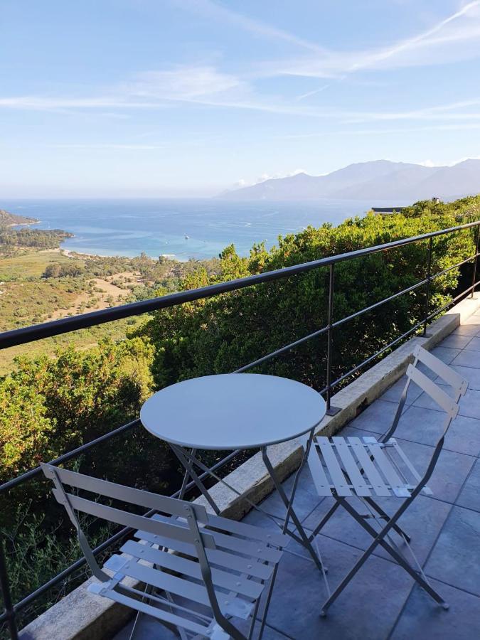 Les Hauts De Fromentica Saint-Florent  Eksteriør bilde